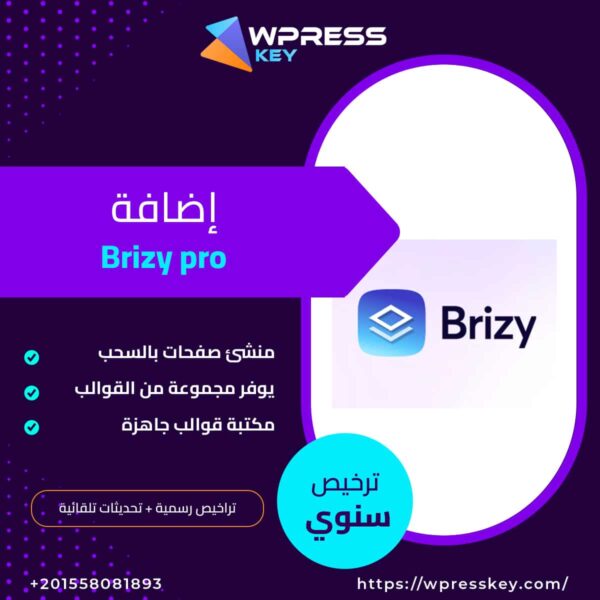 Brizy pro