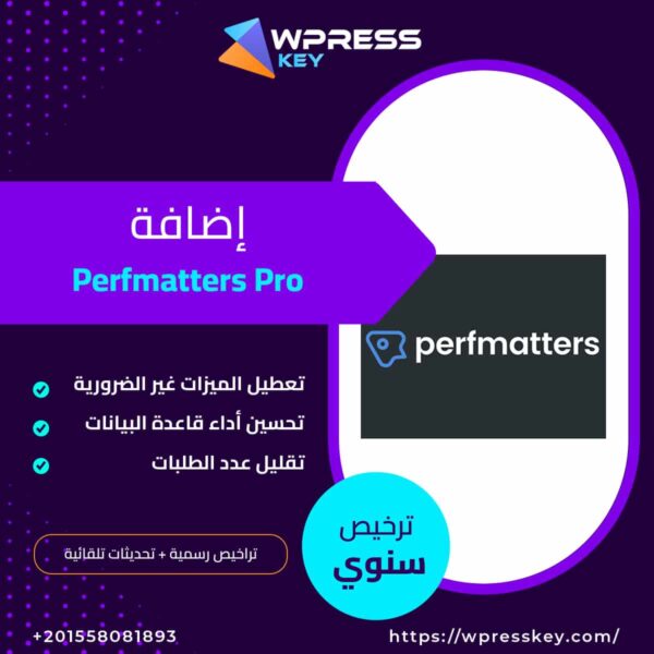 Perfmatters Pro